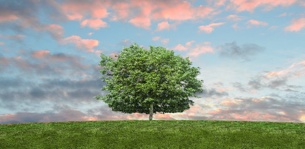 ‘Go Green’ this Earth Day with 4 Easy Business Practices