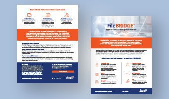 FileBRIDGE Platform Overview | Access Data Sheets